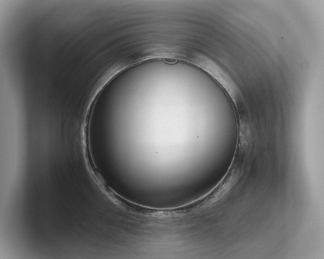 X0000102300906200807251432
