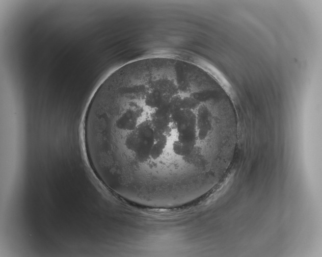 X0000102300907200807251432