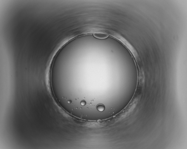 X0000102300909200807251432
