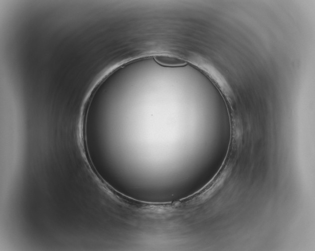 X0000102300910200807251432