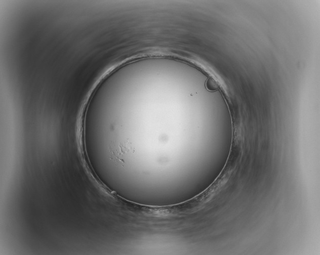 X0000102300911200807251432