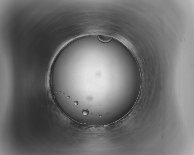 X0000102300912200807251432