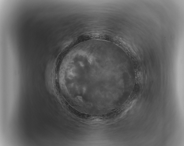 X0000102300913200807251432