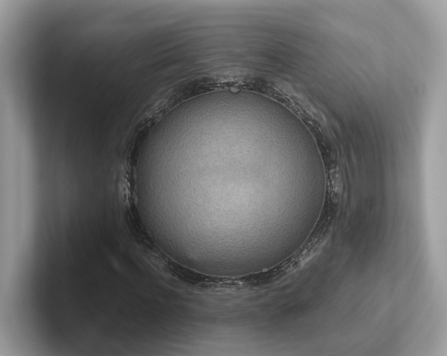 X0000102300916200807251432