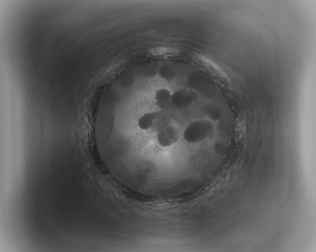 X0000102300917200807251432