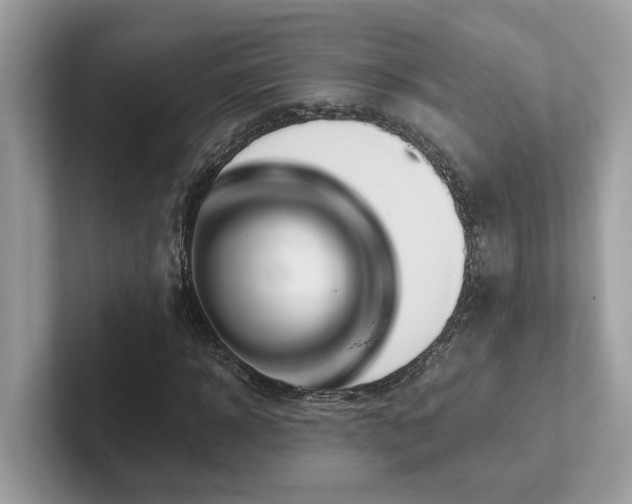 X0000102300918200807251432