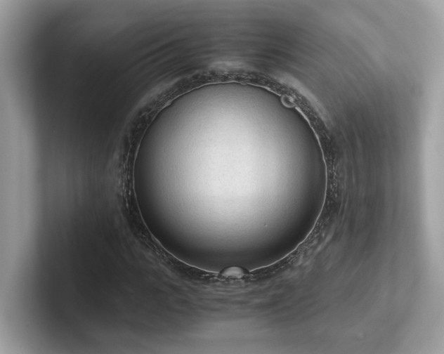 X0000102300919200807251432