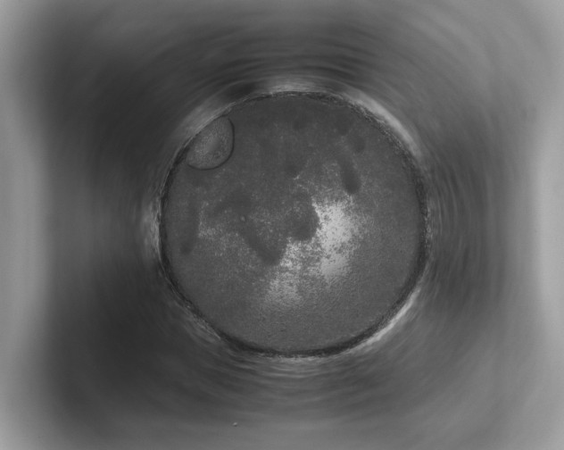 X0000102300921200807251432