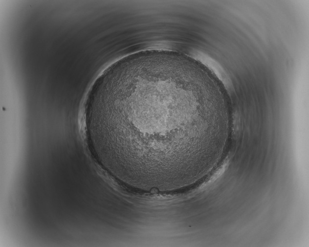 X0000102300923200807251432