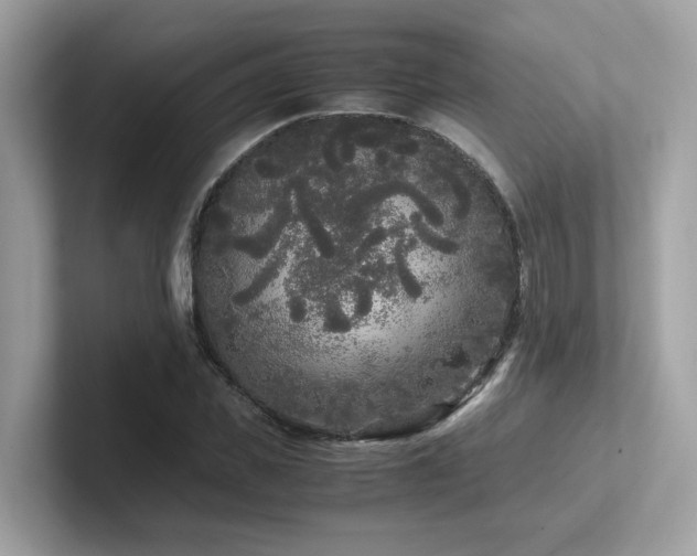 X0000102300925200807251432