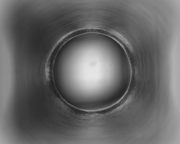 X0000102300926200807251432