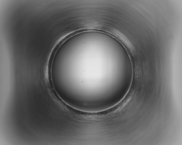 X0000102300932200807251432