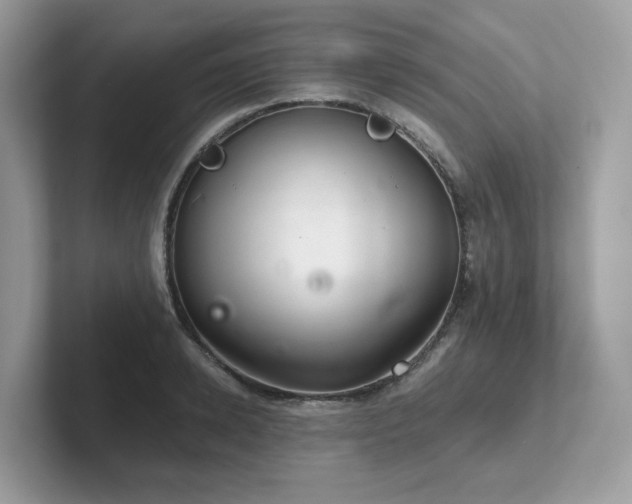 X0000102300942200807251432