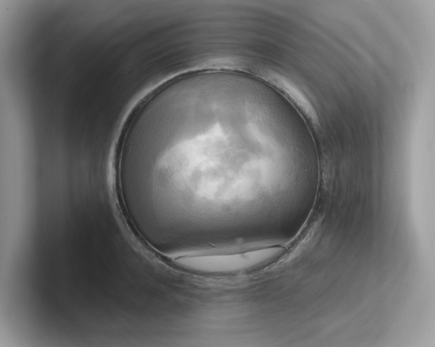 X0000102300944200807251432