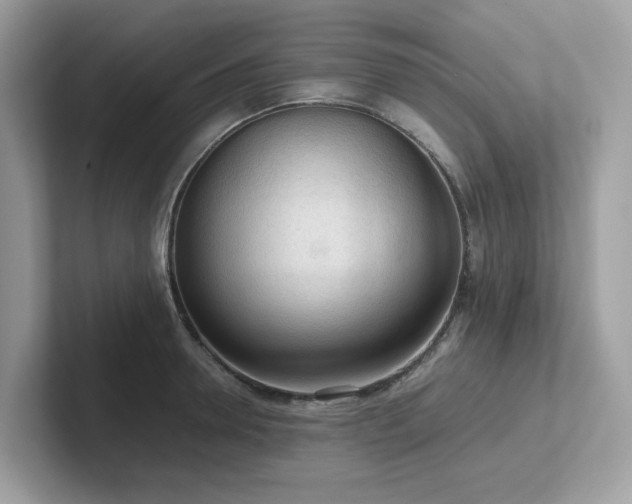 X0000102300946200807251432