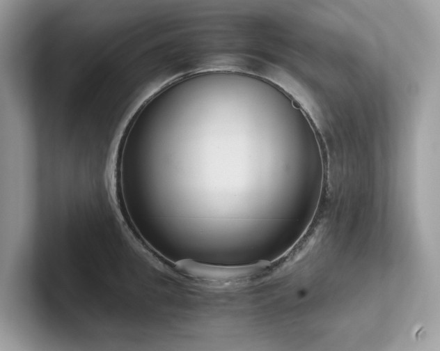 X0000102300949200807251432