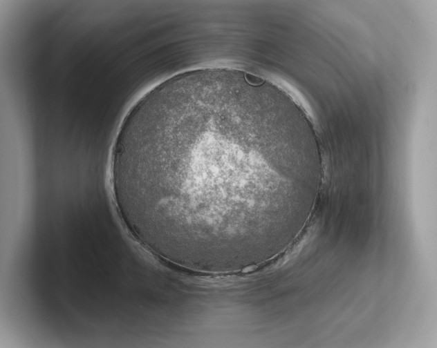 X0000102300952200807251432