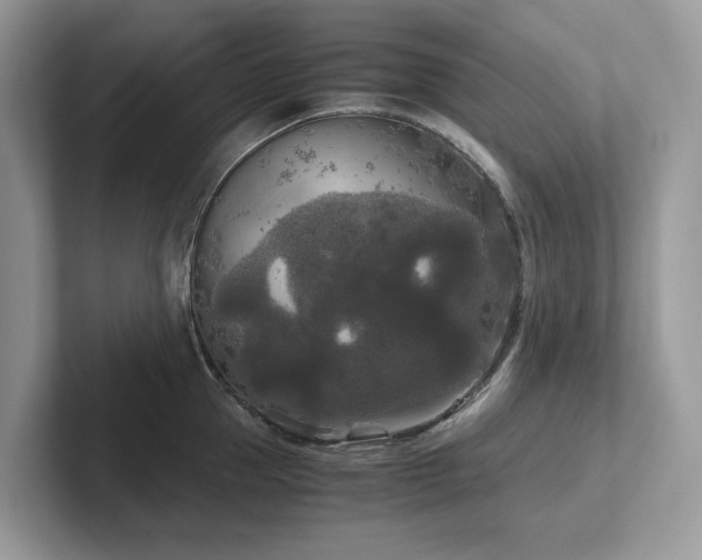 X0000102300953200807251432
