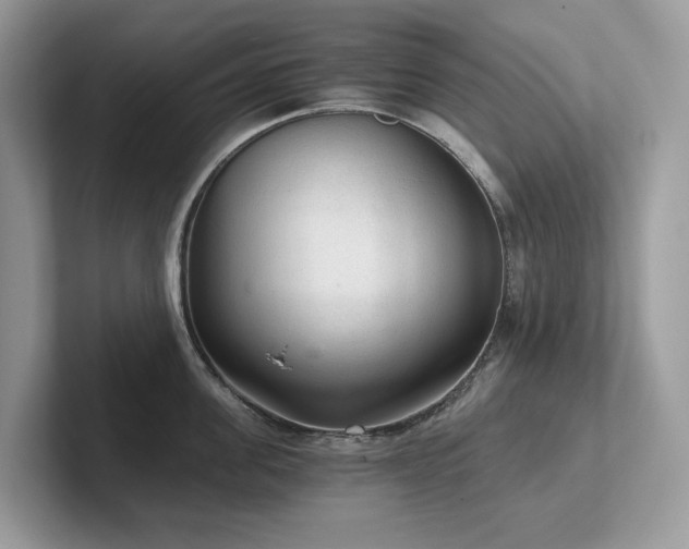 X0000102300955200807251432