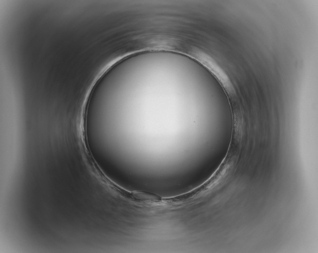 X0000102300956200807251432