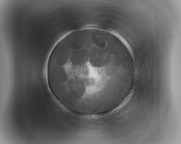 X0000102300957200807251432