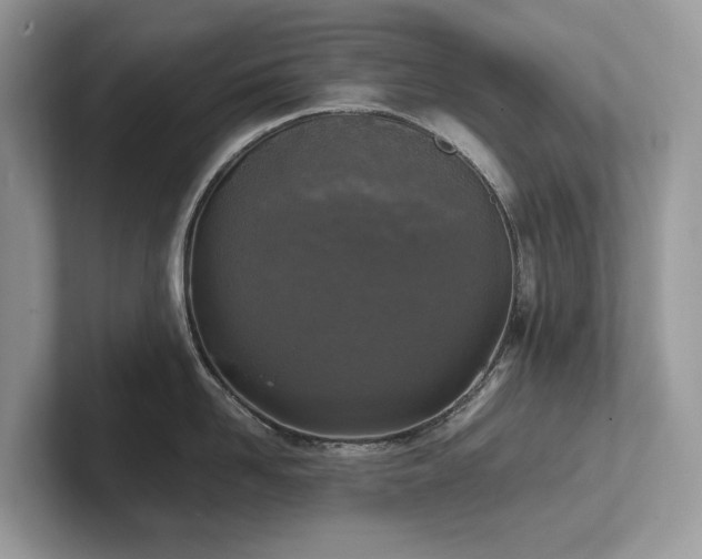 X0000102300958200807251432