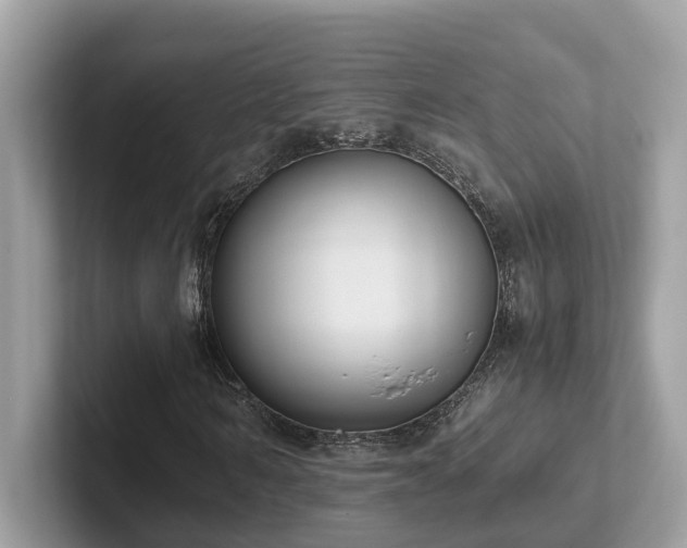 X0000102300962200807251432