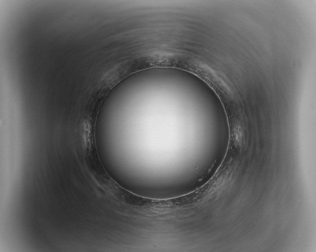 X0000102300964200807251432