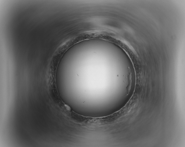 X0000102300967200807251432