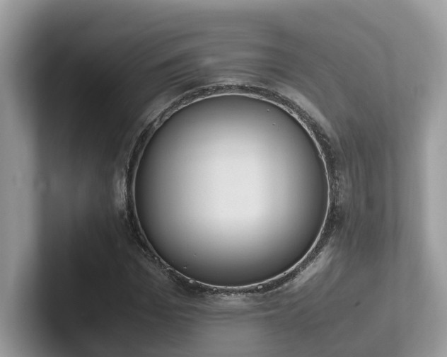 X0000102300969200807251432
