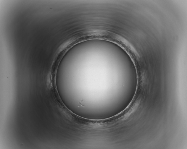X0000102300970200807251432