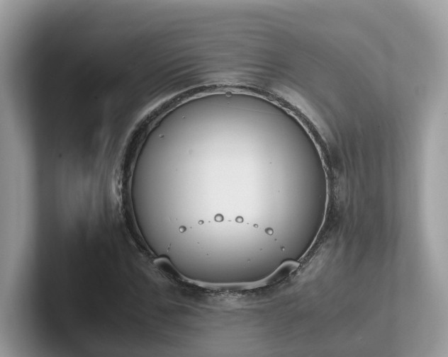 X0000102300971200807251432