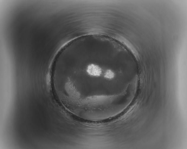 X0000102300975200807251431