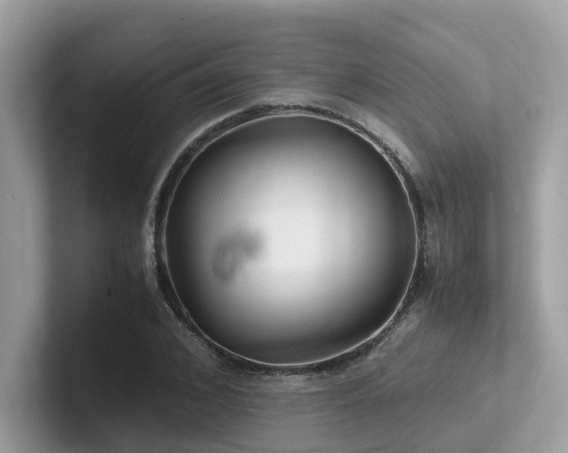 X0000102300976200807251431