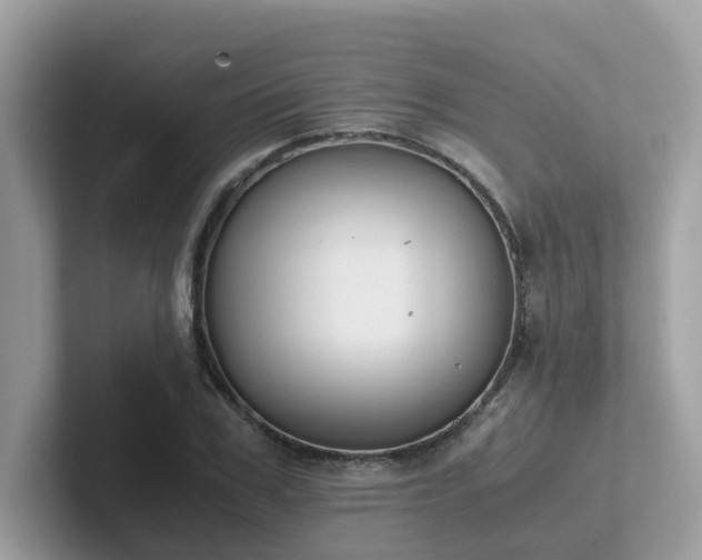 X0000102300979200807251431