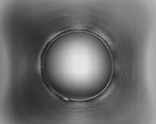 X0000102300981200807251431