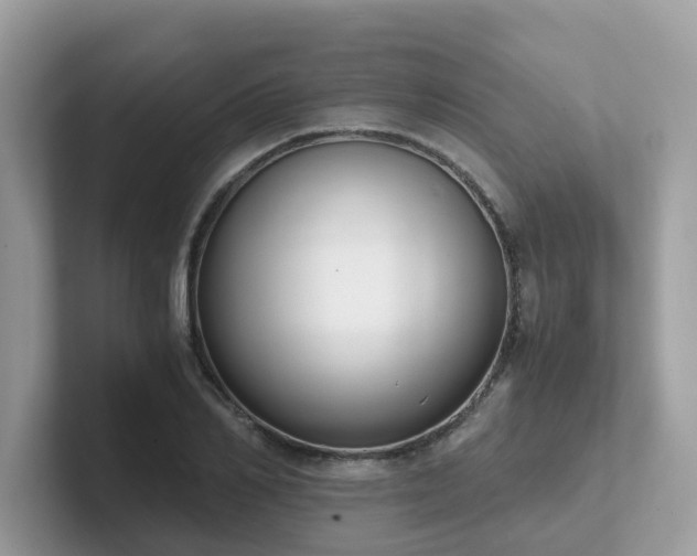 X0000102300982200807251431
