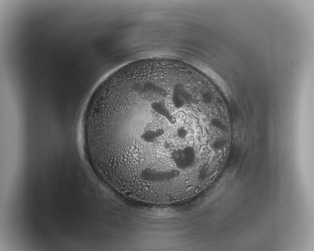 X0000102300983200807251431
