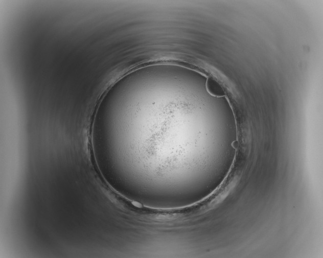 X0000102300985200807251431