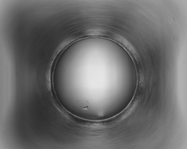 X0000102300986200807251431