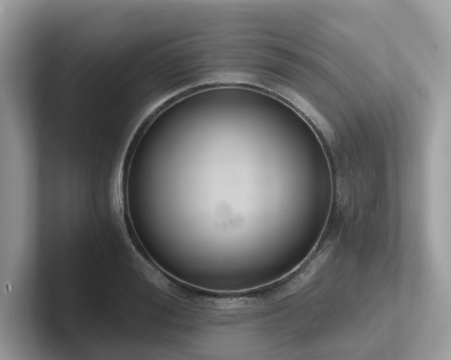 X0000102300988200807251431