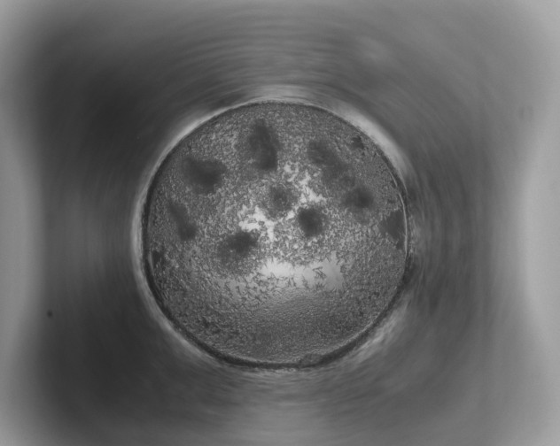 X0000102300999200807251431