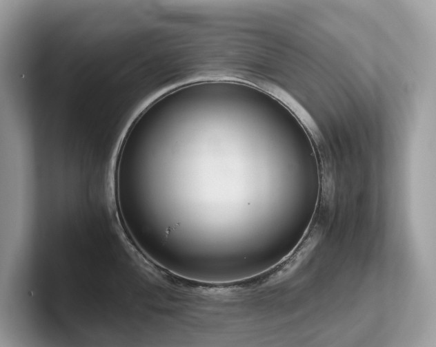 X0000102301004200807251431