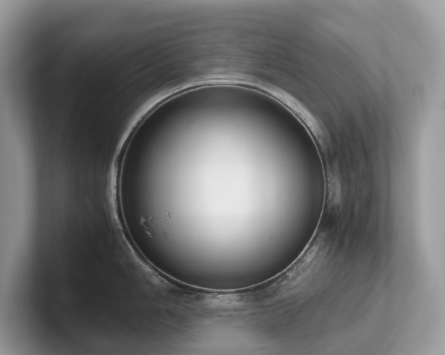 X0000102301006200807251431
