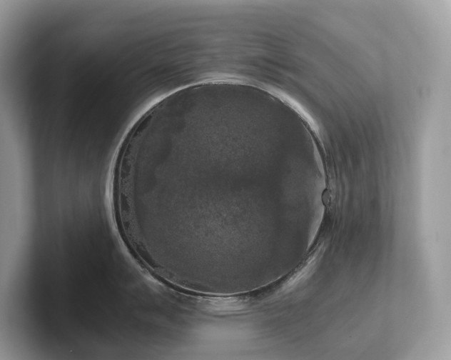 X0000102301007200807251431