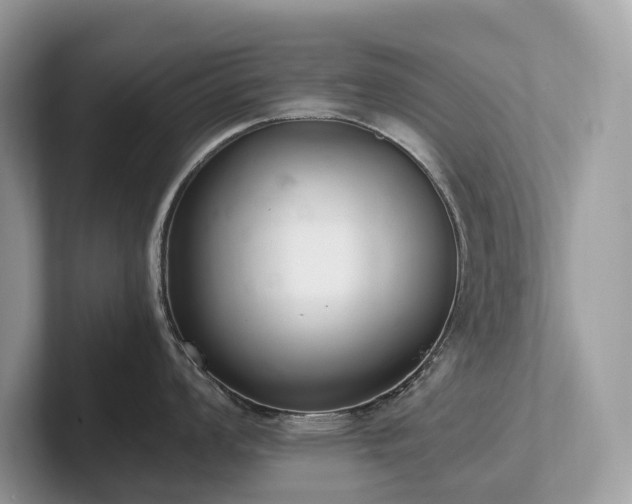 X0000102301008200807251431