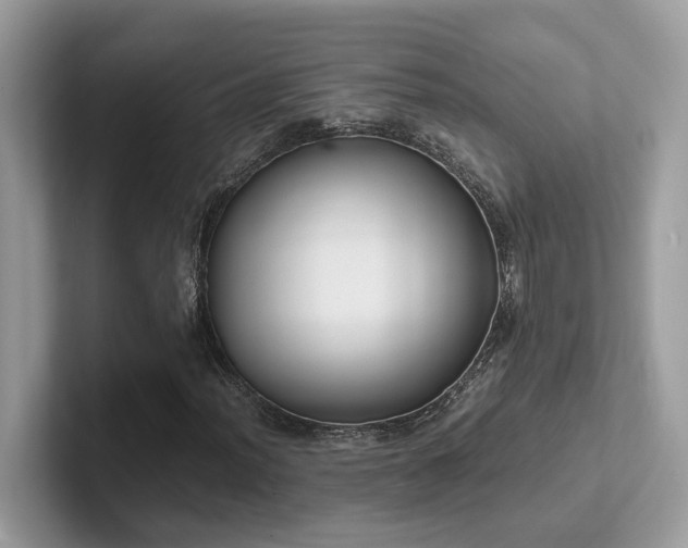 X0000102301012200807251430