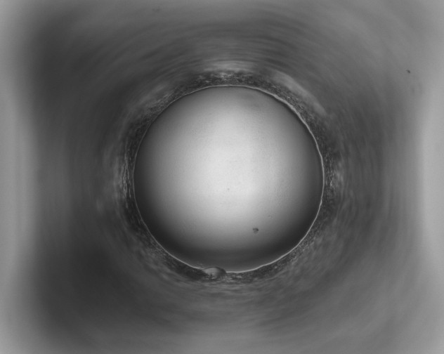 X0000102301014200807251431