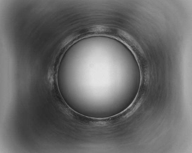 X0000102301017200807251431