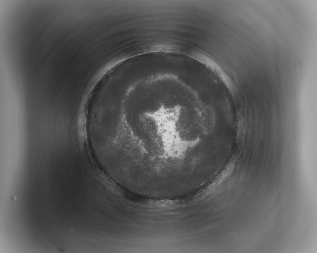 X0000102301019200807251431